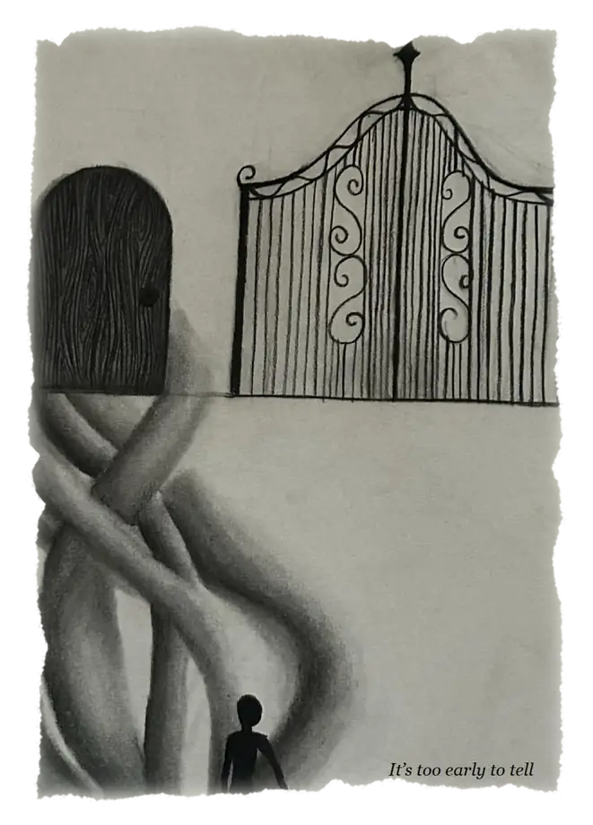 Charcoal drawing: a humble wooden door beside a grand iron gate — it’s too early to tell